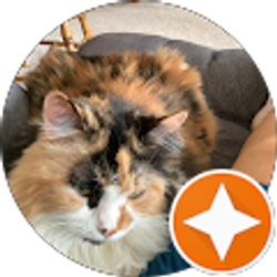 Profile photo of Linda Nolen