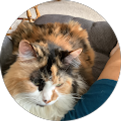 Profile photo of Linda Nolen