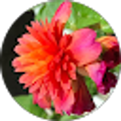 Profile photo of Amy