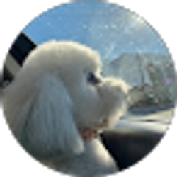 Profile photo of Vickie Rameriz