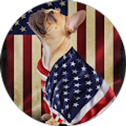 Profile photo of Staci Halupniczak