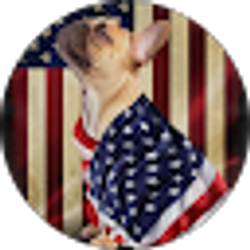 Profile photo of Staci Halupniczak