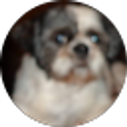 Profile photo of Faye Lee