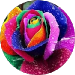 Profile photo of Lorrie Terry