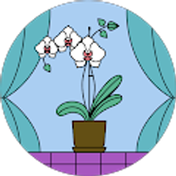 Profile photo of Valarie Harris