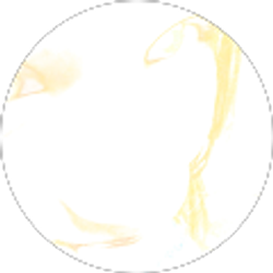 Profile photo of Jak