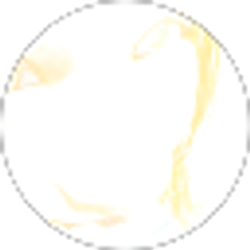Profile photo of Jak
