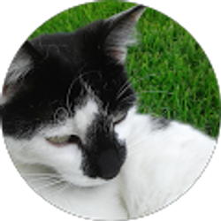 Profile photo of Melissa Bartschi