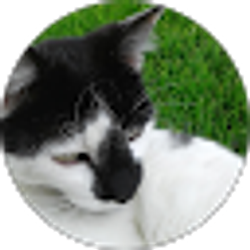 Profile photo of Melissa Bartschi