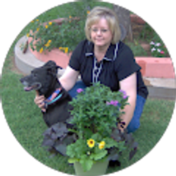 Profile photo of Kim Perkins