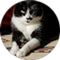 Profile photo of Sandra Daniels