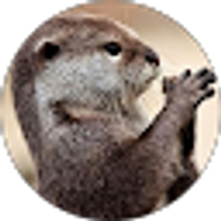 Profile photo of Jason Sun