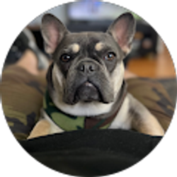 Profile photo of Josh Green