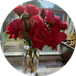 Profile photo of Angelica Orozco