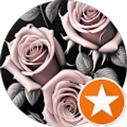 Profile photo of J A