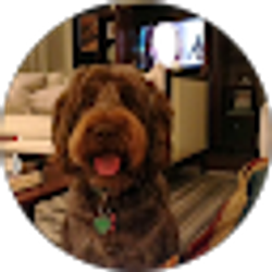 Profile photo of Michael Silverman