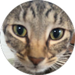 Profile photo of Megan Newcomb