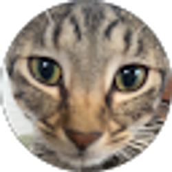 Profile photo of Megan Newcomb