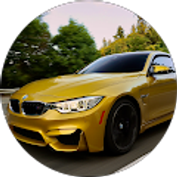 Profile photo of Bruno Marena