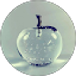 Profile photo of trina glass