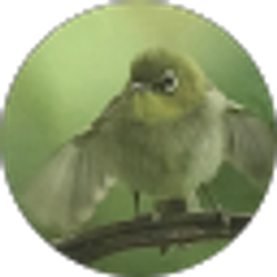 Profile photo of R Ego