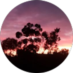 Profile photo of Shanna Clark