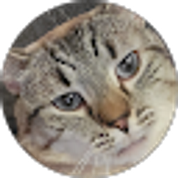 Profile photo of jettug a baby