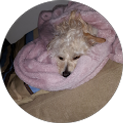 Profile photo of Cindy Burdick