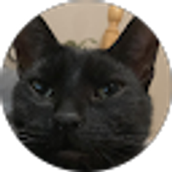 Profile photo of Lorenzo C