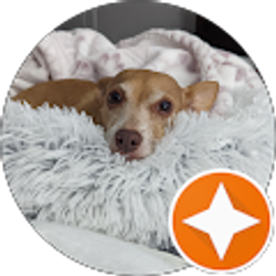 Profile photo of Becca