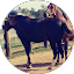 Profile photo of Tracey Huff