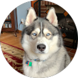 Profile photo of Adriana Fernandez