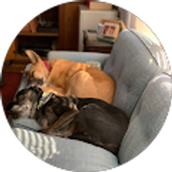 Profile photo of Sara Gordon