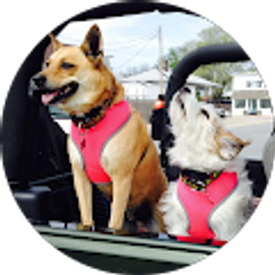 Profile photo of John and Janet Clark