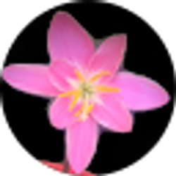 Profile photo of Olaya Márquez