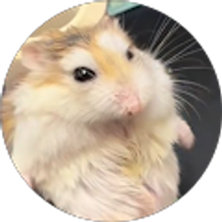 Profile photo of Phoenix Kuehne