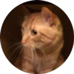 Profile photo of Alexander Segovia