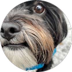 Profile photo of Micah LaCienega