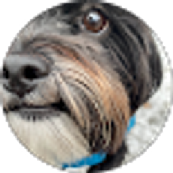 Profile photo of Micah LaCienega