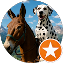 Profile photo of Katie Armstrong