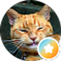 Profile photo of Kael