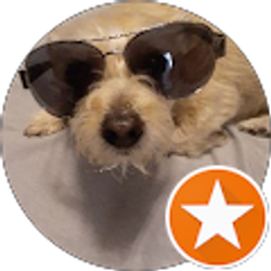 Profile photo of Veronica Cano