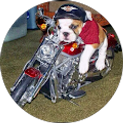 Profile photo of Rhondale Robinson