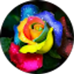 Profile photo of Haneefah Dudley