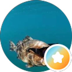 Profile photo of Addison Gallamore