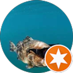 Profile photo of Addison Gallamore