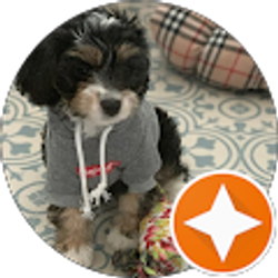 Profile photo of P Winter