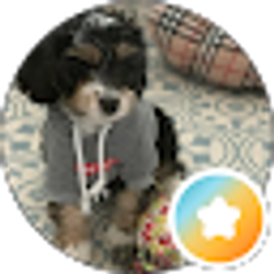 Profile photo of P Winter