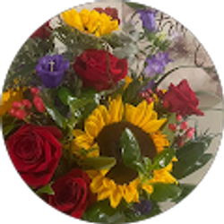 Profile photo of Dani Mendez