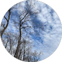 Profile photo of Garrett Meyers